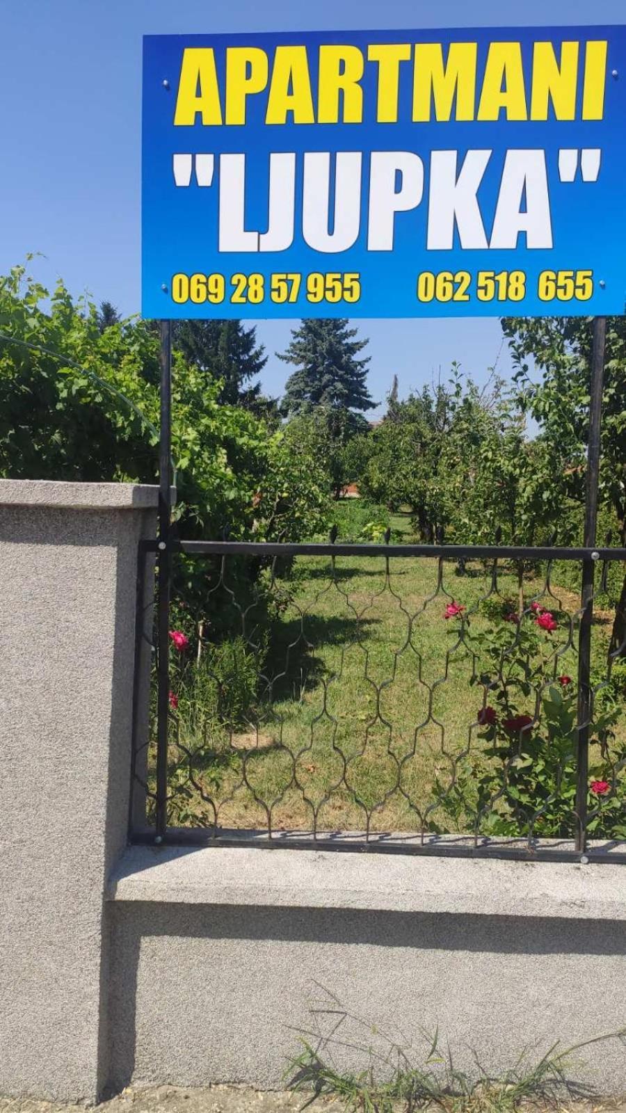 Apartment Ljupka Панчево Екстер'єр фото