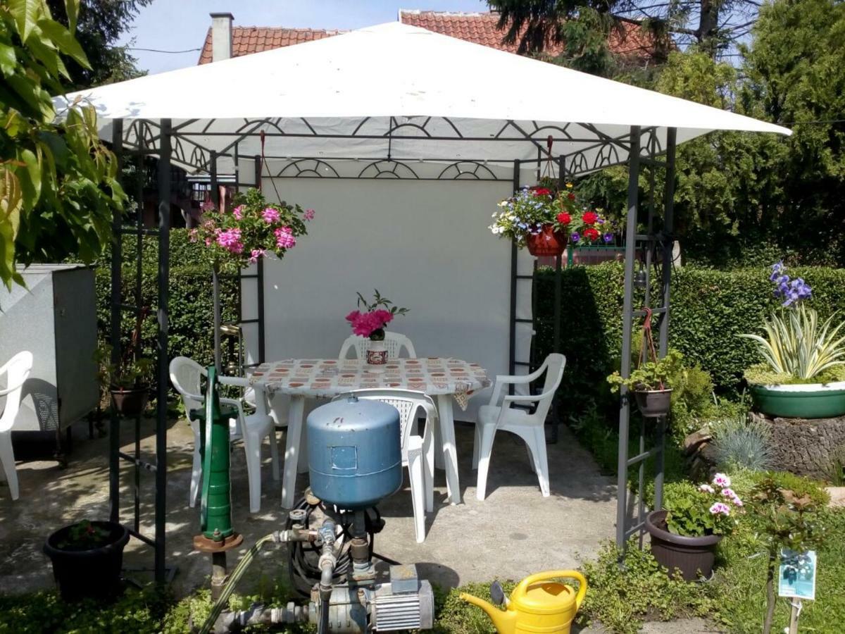 Apartment Ljupka Панчево Екстер'єр фото