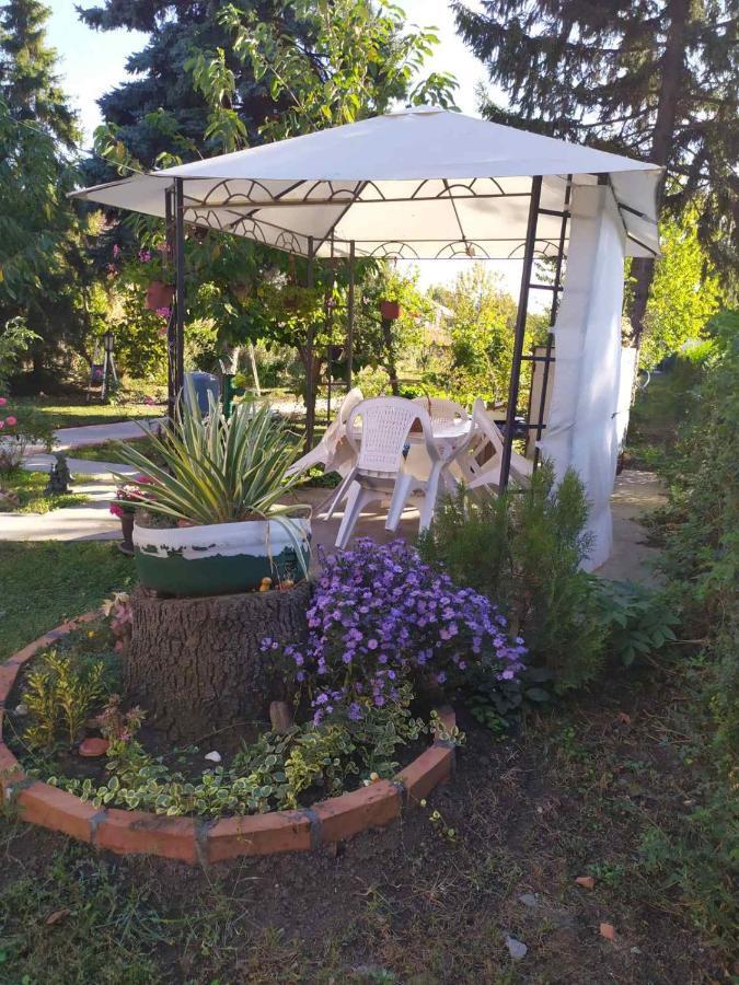 Apartment Ljupka Панчево Екстер'єр фото