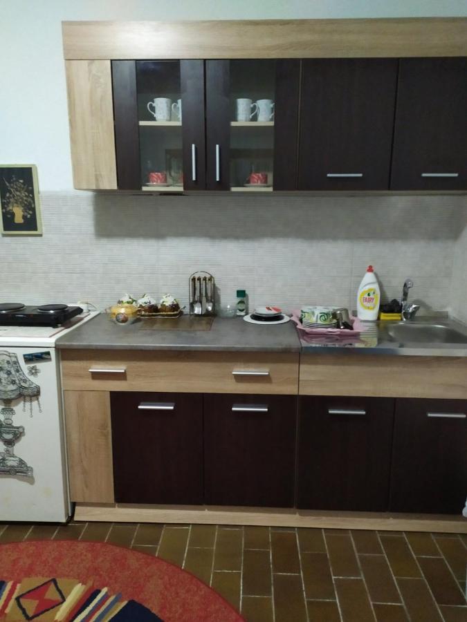 Apartment Ljupka Панчево Екстер'єр фото